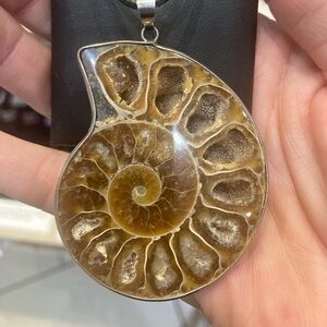 Sale! Large ammonite necklace